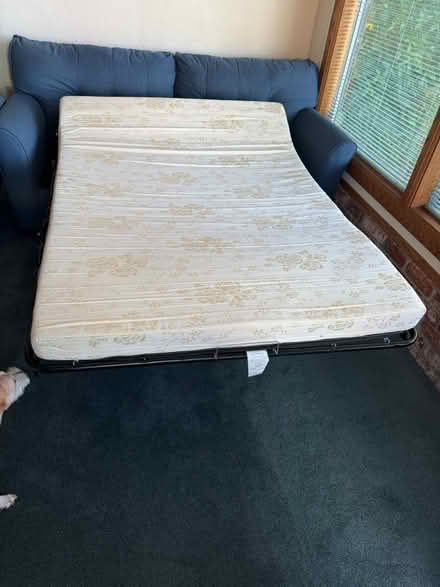 Photo of free Blue sofa bed (Castro Valley) #3