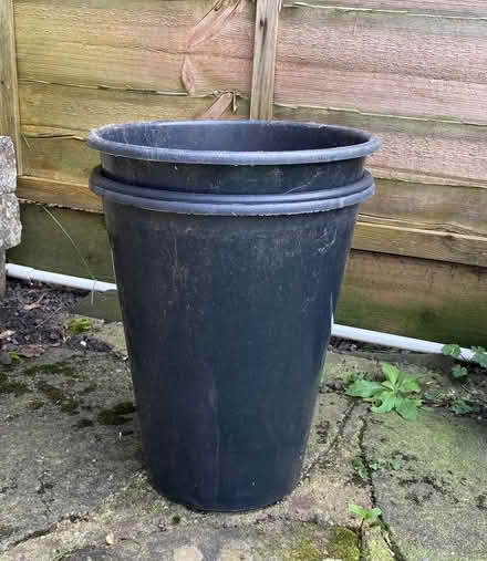 Photo of free Flower buckets (Widmore BR2) #1