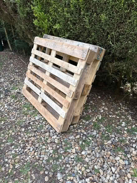 Photo of free 2 pallets (RH12 4HJ) #1