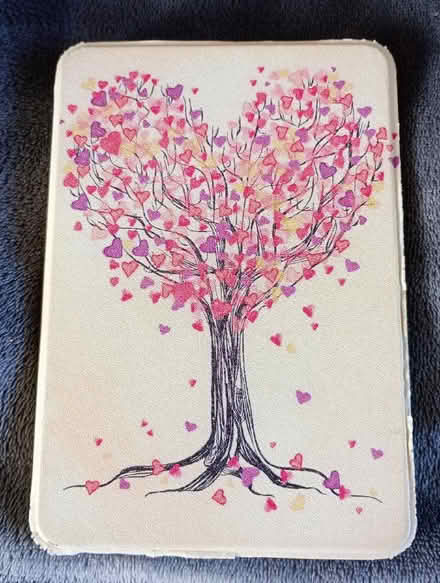 Photo of free Kindle (Malvern WR14) #1