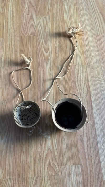 Photo of free Succulent pot (Columbia) #2