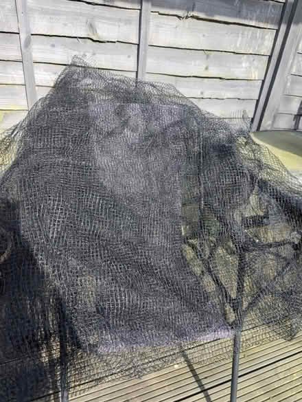Photo of free Garden netting (BN23) #1