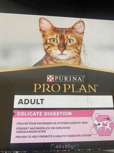 Photo of free Sensitive Stomach Adult Cat Food (Southfields SW19) #2