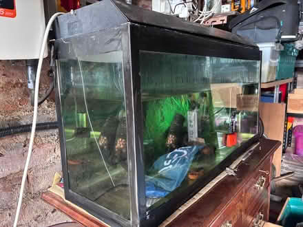 Photo of free Fish Tank / Vivarium (Dysart KY1) #1