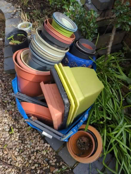Photo of free Garden plant pots (Walsall WS2) #1