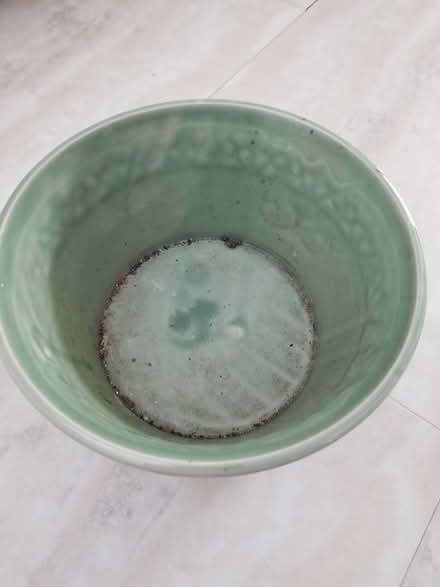 Photo of free Misc garden items (Hunt Club) #1