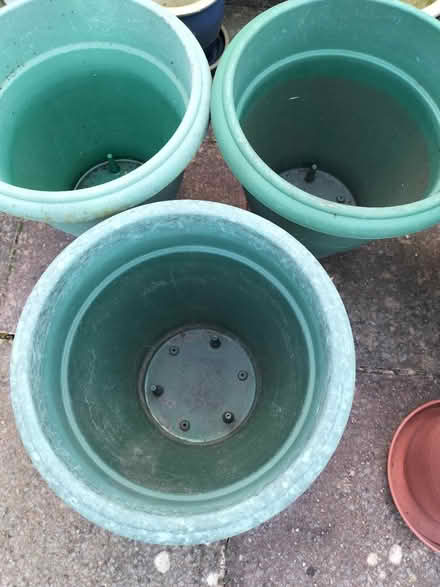 Photo of free 3 Large Green Garden Plant Pots (Hilsea Portsmouth PO2) #1