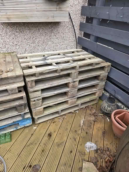 Photo of free Pallets (Bonnyrigg EH19) #1