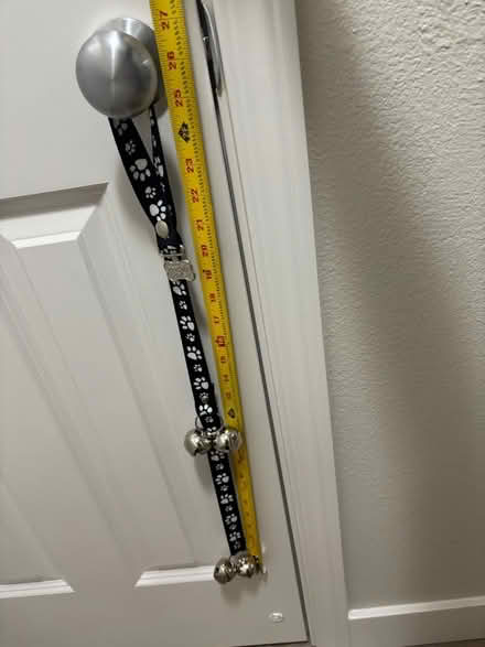 Photo of free Dog training door bell (Issaquah) #3