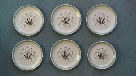 Photo of free Vintage Meakin "Hedgerow" Pattern Plates (Church RG2) #1