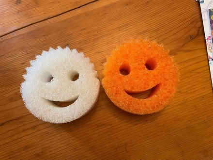 Photo of free scrub daddy scrubbers (Wedgwood) #1