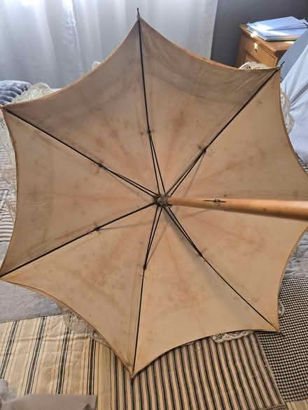 Photo of free Vintage Parasols (Humboldt Hill, Eureka) #4