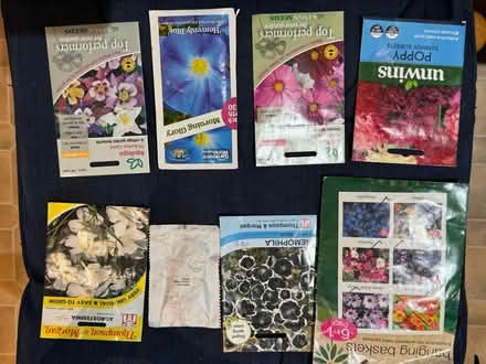 Photo of free 8 packets of seeds (Eastbourne BN21) #1