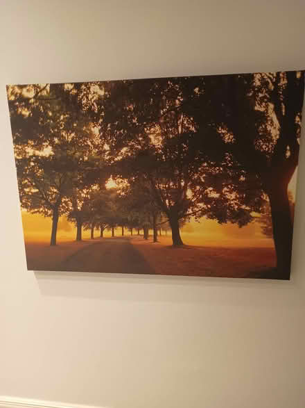 Photo of free Pictures (Aylesbury Vale HP19) #2