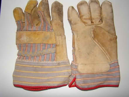 Photo of free Garden gloves (SG4 0LS) #1