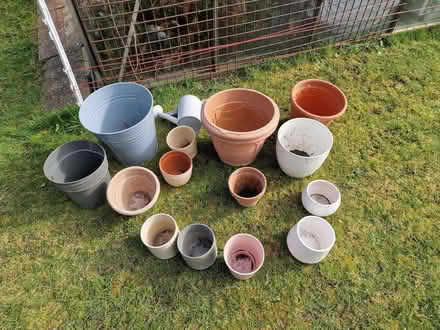 Photo of free plant pots (Lye Valley OX4) #1