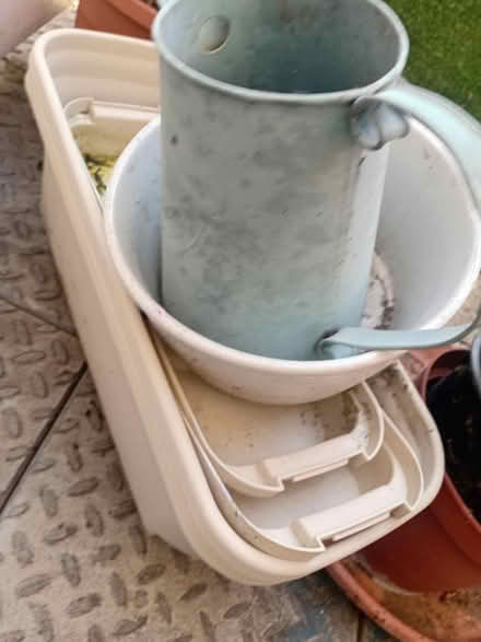 Photo of free Pots (Southwark) #1