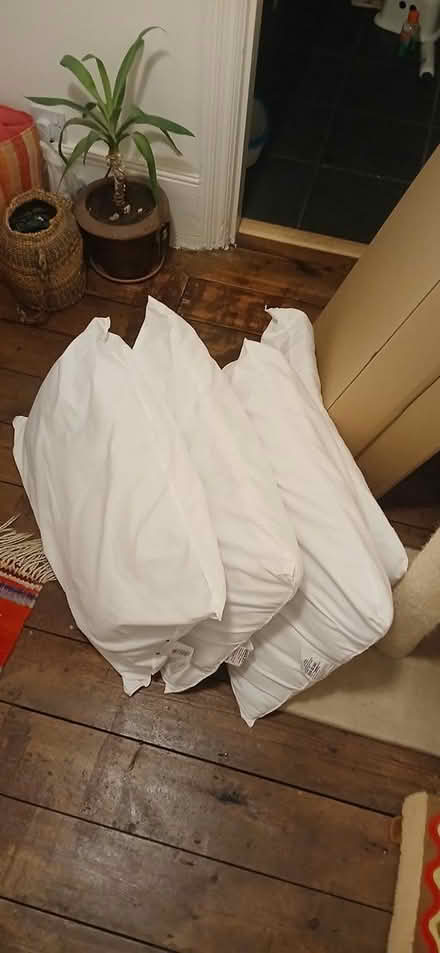 Photo of free Pillows, used (CT11) #1