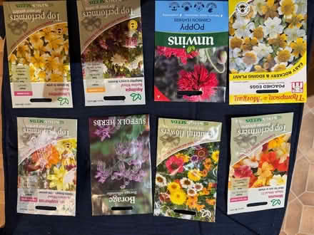 Photo of free Assorted seeds (Eastbourne BN21) #1
