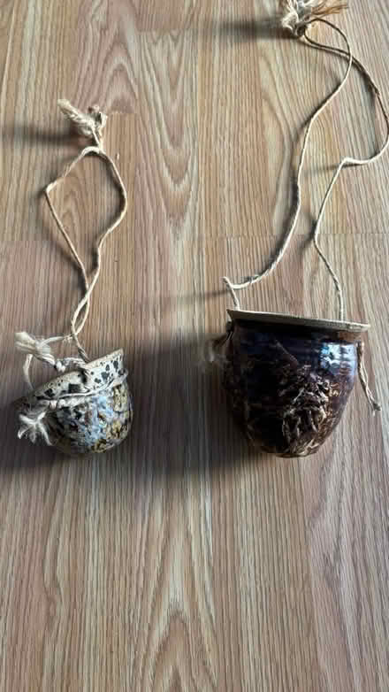 Photo of free Succulent pot (Columbia) #1