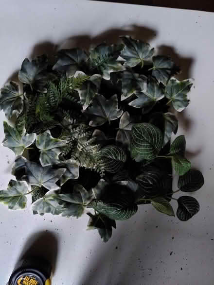 Photo of free Picture Frame (Belper) #2