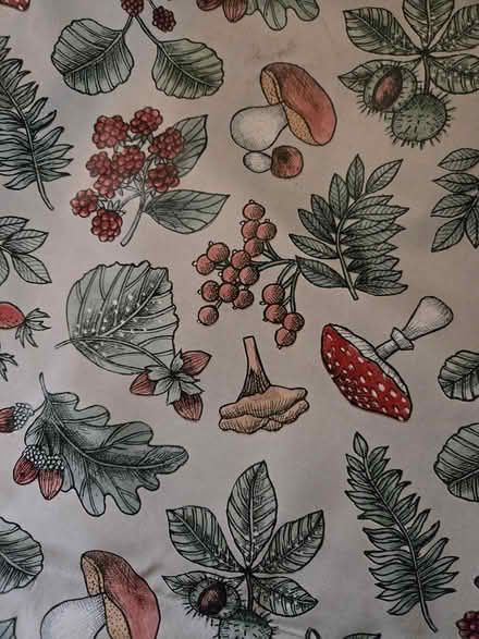 Photo of free Vinyl plastic oilskin tablecloth (BS5) #1