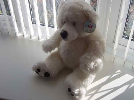 Photo of free large fluffy polar bear (Durrington BN13) #1