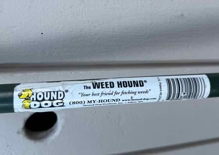 Photo of free Hound dog - Weed Hound (Terra Linda) #1