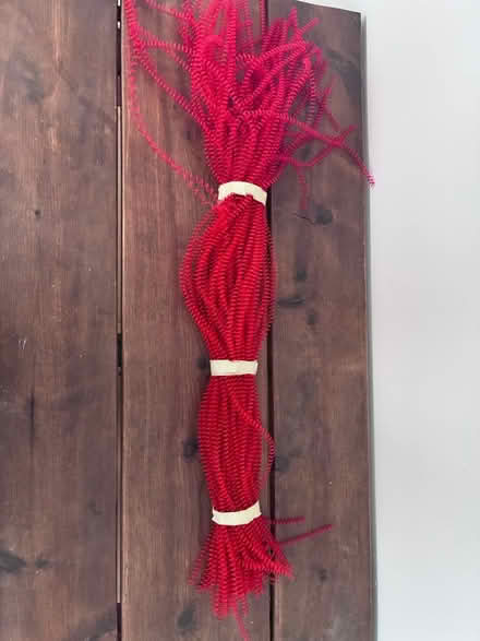 Photo of free Red plastic spirals (Teele Square) #1