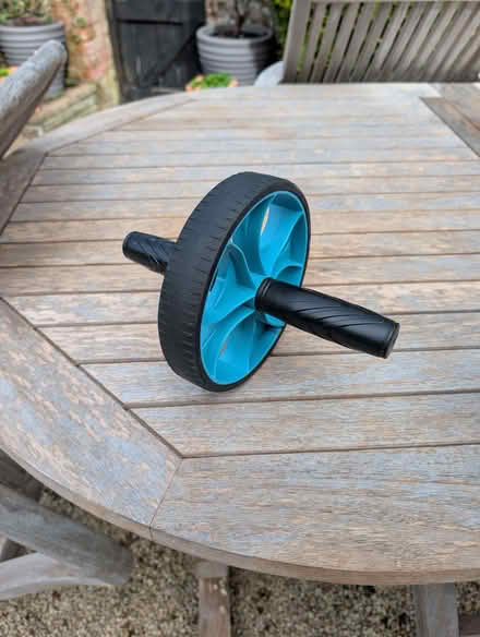 Photo of free Exercise wheel (Bear Flat) #1