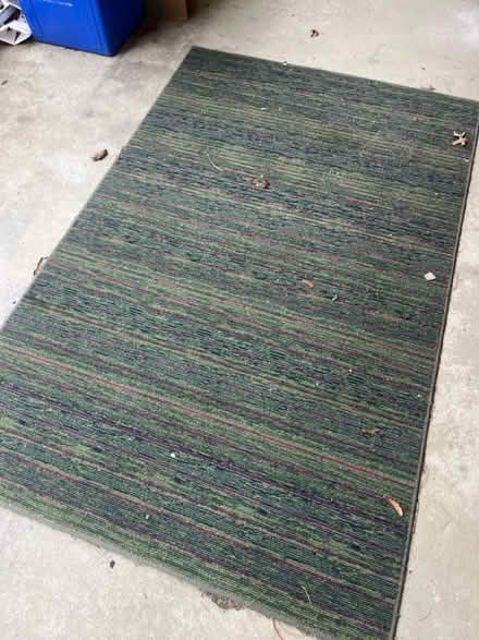 Photo of free Outdoor rug (W Bethlehem) #1