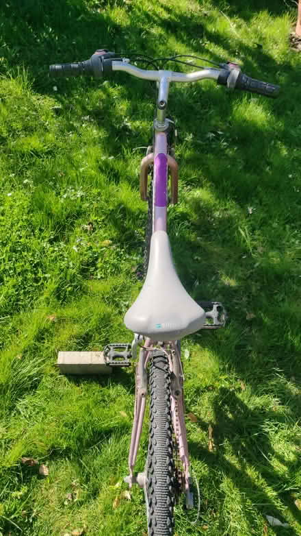 Photo of free Ladies bike (Baldock (SG7)) #3