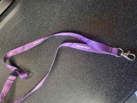 Photo of free Lanyards x2 (SE20) #3