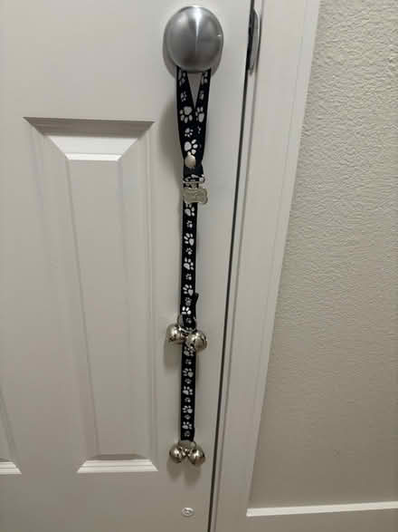 Photo of free Dog training door bell (Issaquah) #1