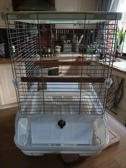 Photo of free Small bird cage (Handsworth S13) #2