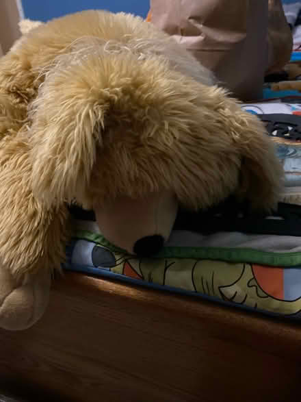 Photo of free Large stuffed dog (Montebello) #2