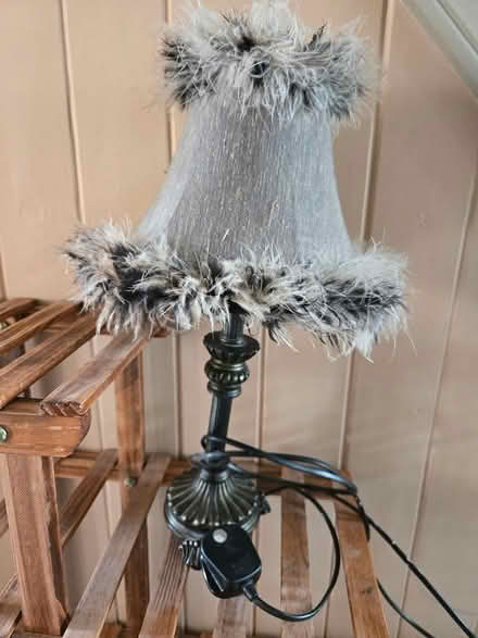 Photo of free Brown feather lamp (BS5) #1