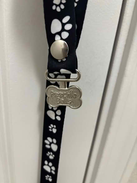 Photo of free Dog training door bell (Issaquah) #2