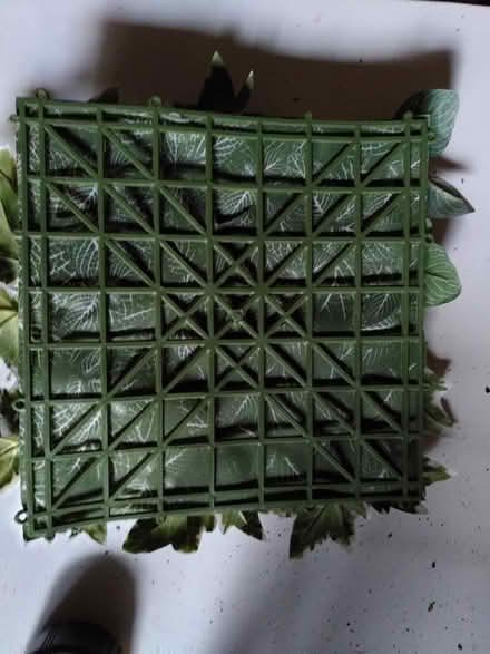 Photo of free Picture Frame (Belper) #3