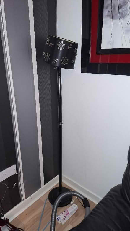 Photo of a floor lamp (Windygates KY8) #1