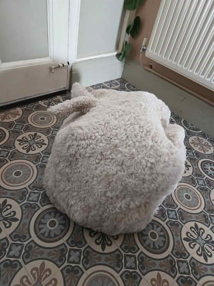 Photo of free Vintage Ikea rabbit pouffe (BS5) #4