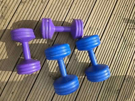Photo of free Weights (Bonnyrigg EH19) #1