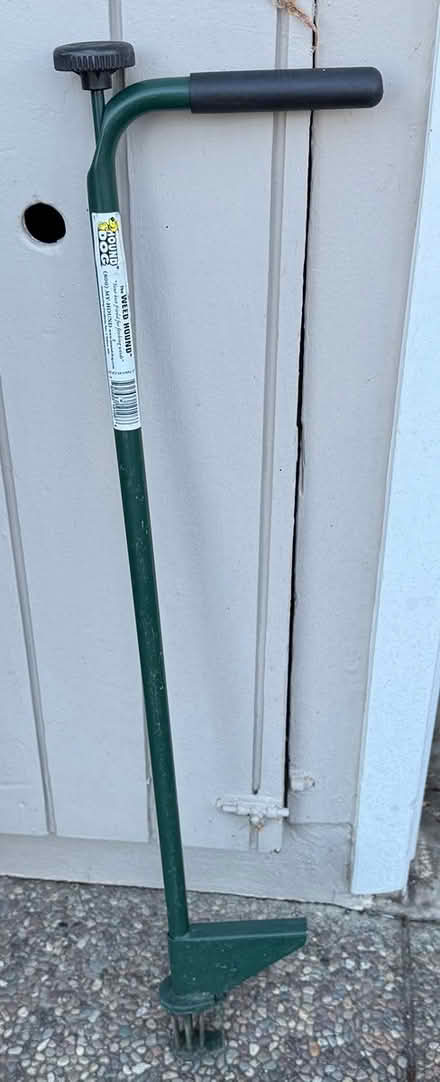 Photo of free Hound dog - Weed Hound (Terra Linda) #2