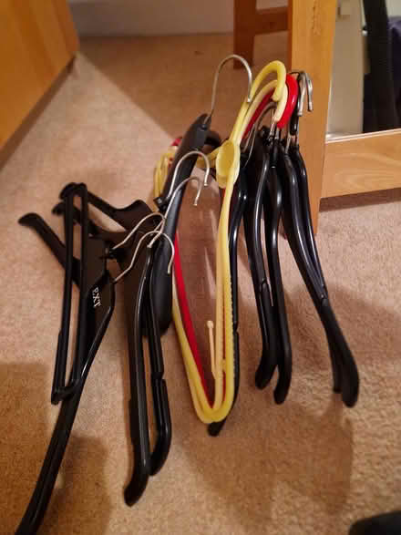 Photo of free Coat hangers (Juniper Green, EH14) #1
