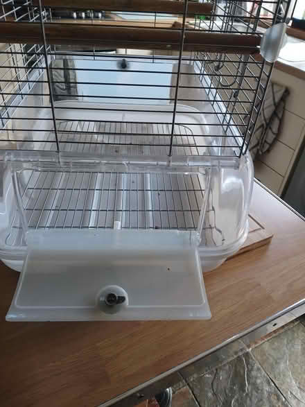 Photo of free Small bird cage (Handsworth S13) #3