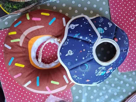 Photo of free Cat collars, Old Woking (Woking, GU22) #1