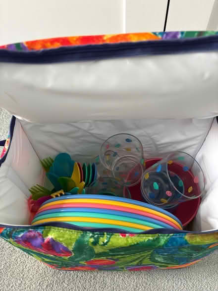 Photo of free Picnic set / cool bag (Lower Weston) #3