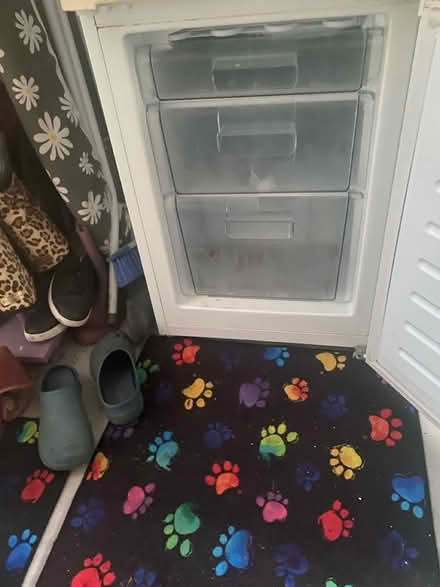 Photo of free Bush fridge freezer (Bexhill) #3