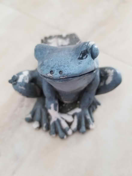 Photo of free Misc garden items (Hunt Club) #3