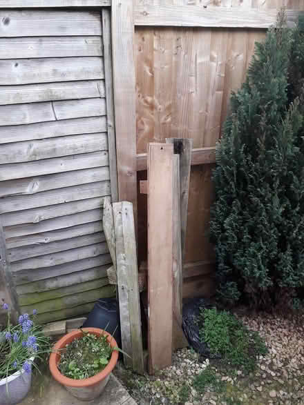 Photo of free Wooden Pallets & Wood (Frampton Cotterell BS36) #3